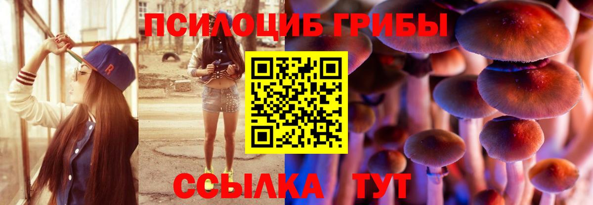 Галлюциногенные грибы MAGIC MUSHROOMS Уварово